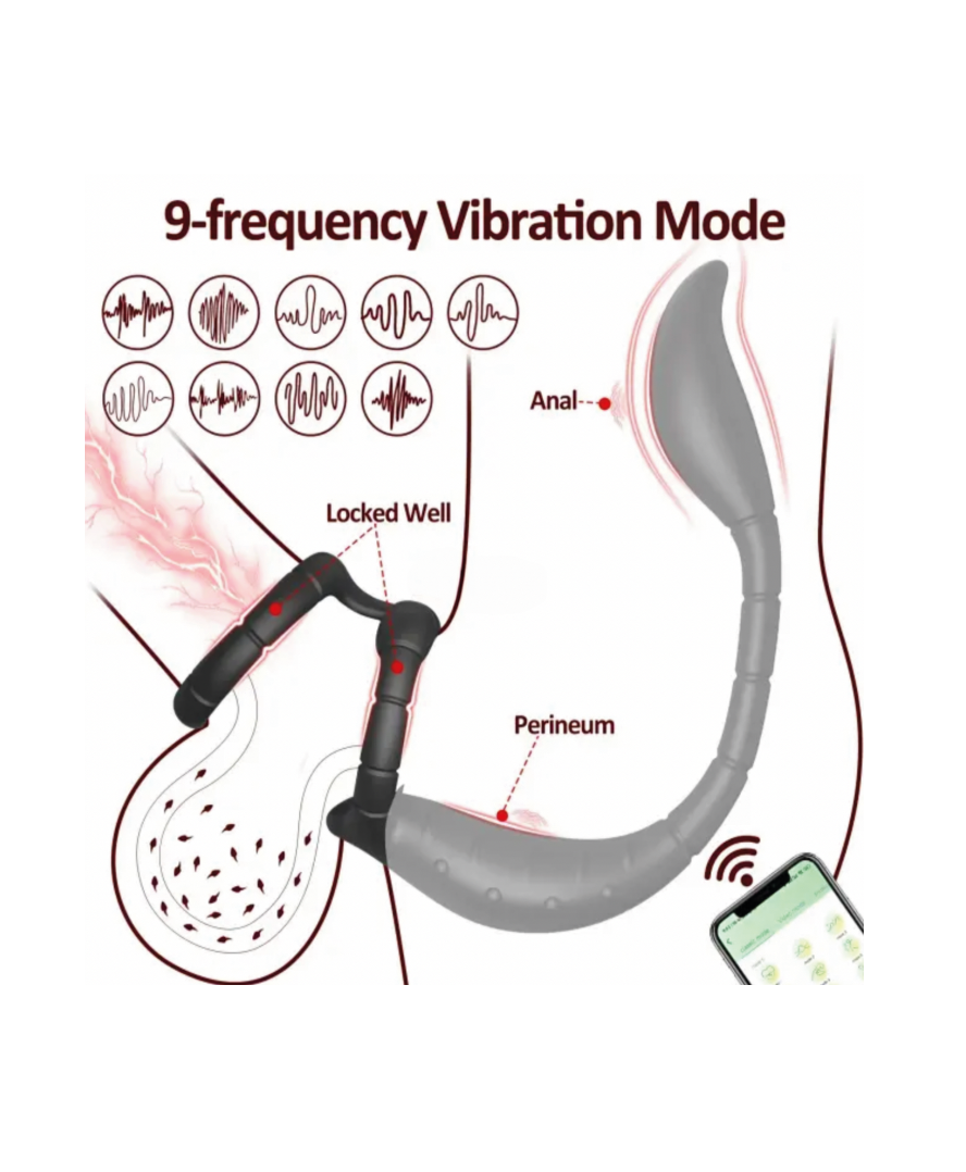 Dual Stimulation Penis & Anal